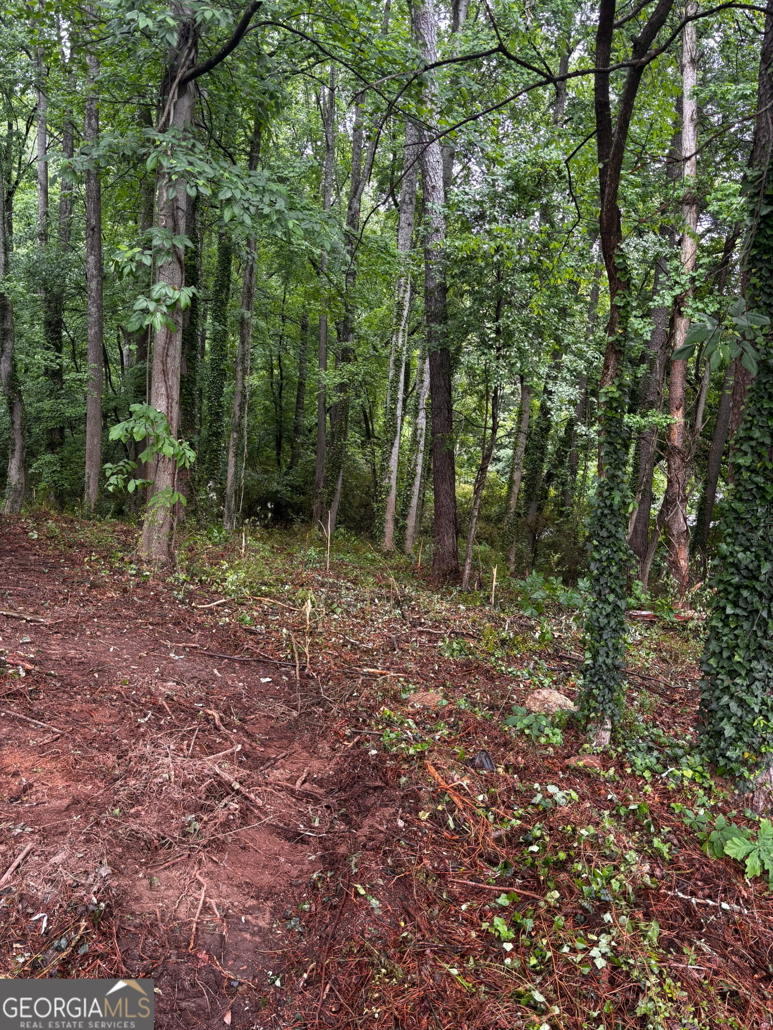 0 Ryman Ridge Dalton GA 30720