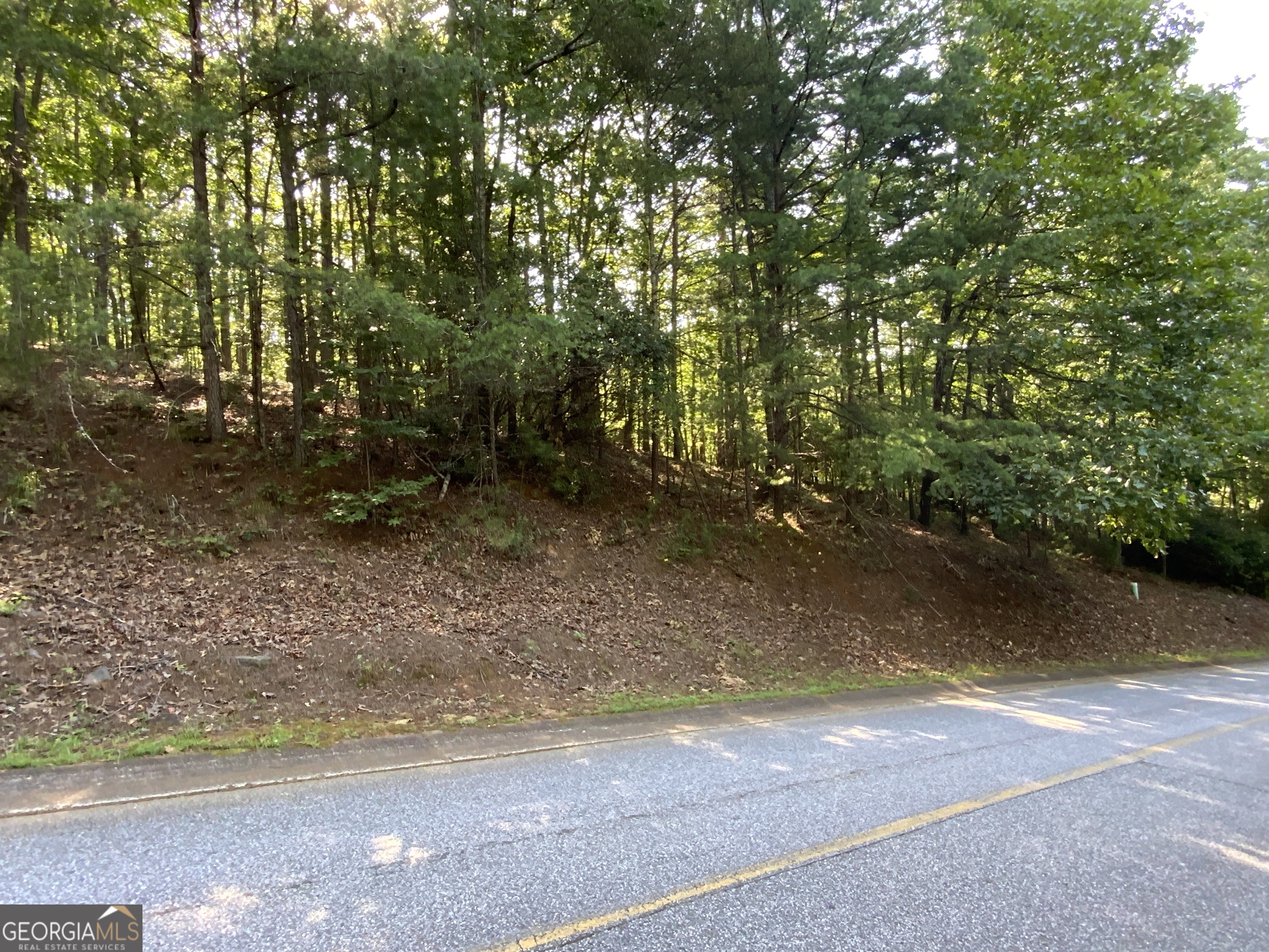 0 Zeppelin Strasse Helen GA 30545
