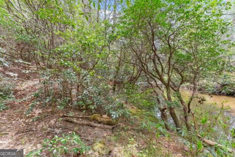 Lot 22 Soque Falls Circle Clarkesville GA 30523
