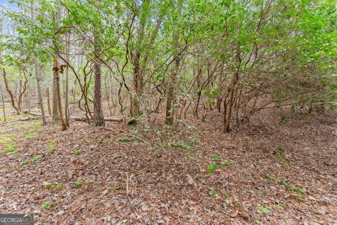 Lot 22 Soque Falls Circle Clarkesville GA 30523