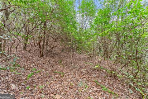 Lot 22 Soque Falls Circle Clarkesville GA 30523