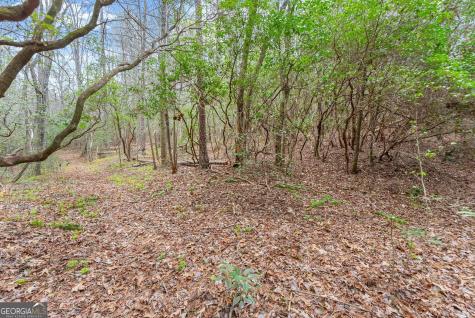 Lot 22 Soque Falls Circle Clarkesville GA 30523