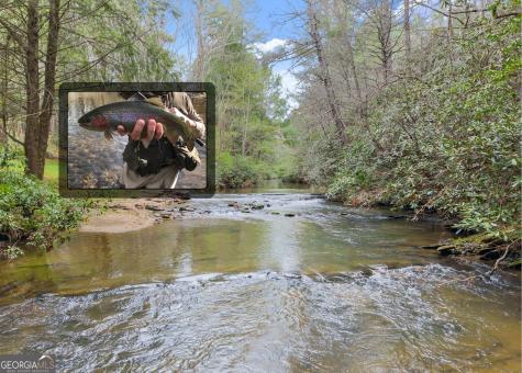 Lot 22 Soque Falls Circle Clarkesville GA 30523