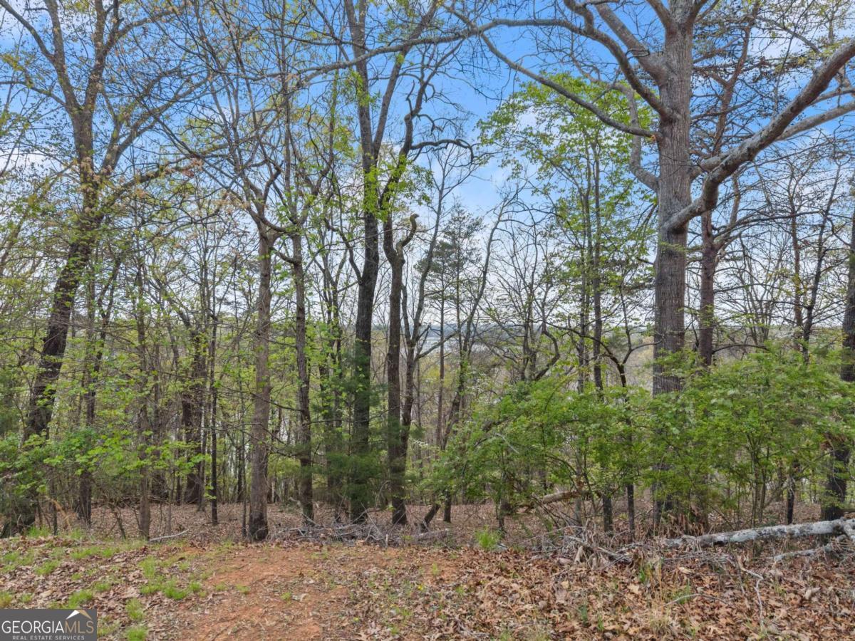 0 Thompson Ovlk Gainesville GA 30506