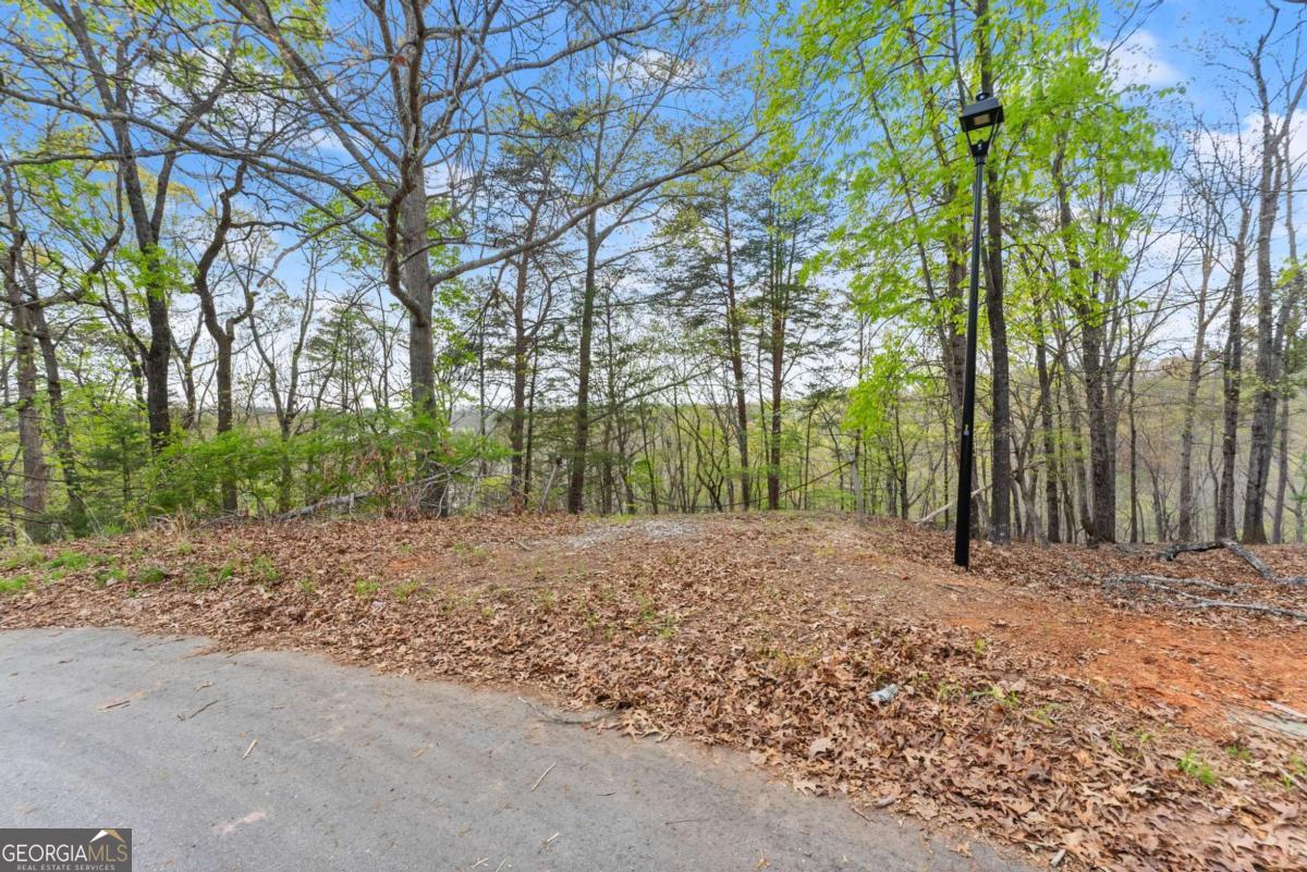 0 Thompson Ovlk Gainesville GA 30506