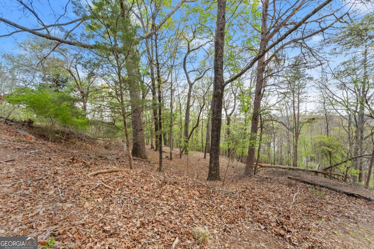 0 Thompson Ovlk Gainesville GA 30506