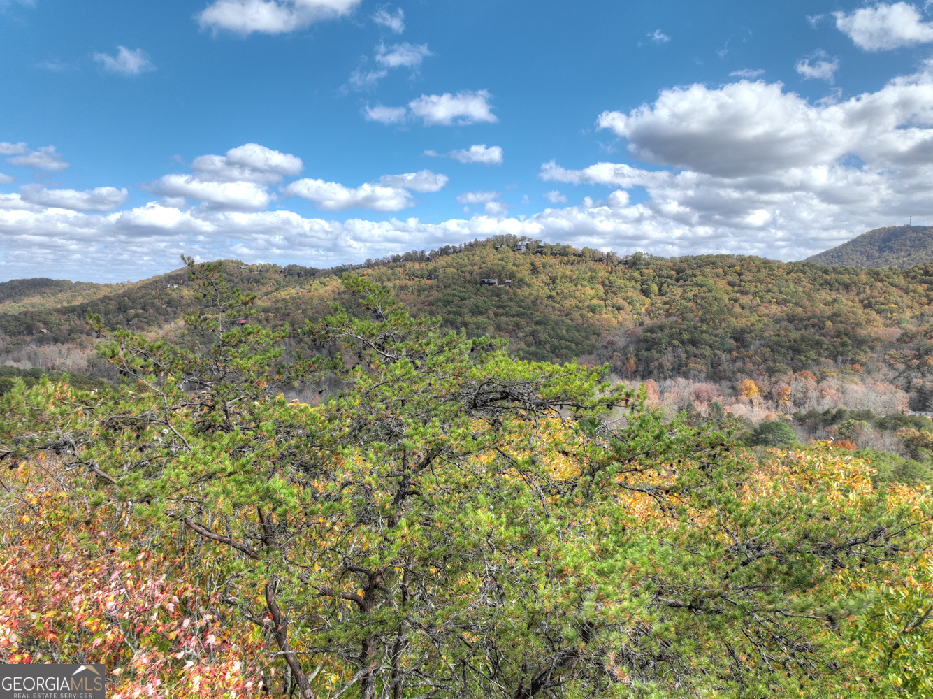 23 Acres Weaver Creek Road Blue Ridge GA 30513
