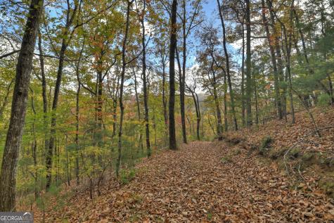 23 Acres Weaver Creek Road Blue Ridge GA 30513