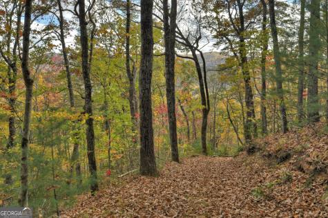 23 Acres Weaver Creek Road Blue Ridge GA 30513