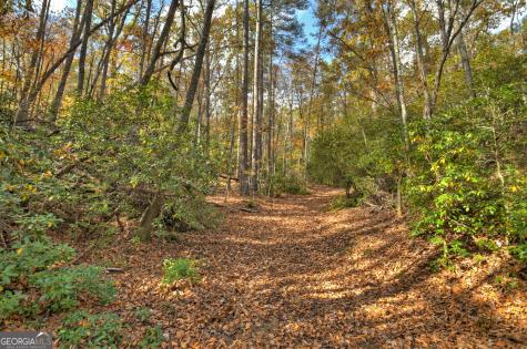 23 Acres Weaver Creek Road Blue Ridge GA 30513