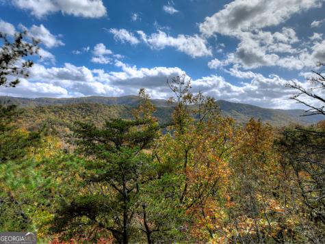 23 Acres Weaver Creek Road Blue Ridge GA 30513
