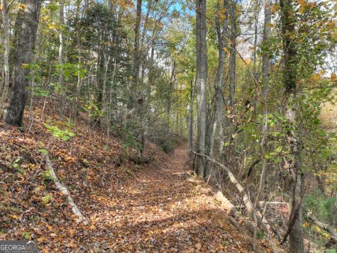 23 Acres Weaver Creek Road Blue Ridge GA 30513