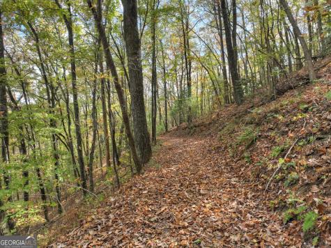 23 Acres Weaver Creek Road Blue Ridge GA 30513