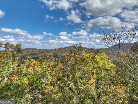 23 Acres Weaver Creek Road Blue Ridge GA 30513