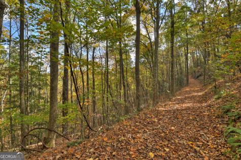 23 Acres Weaver Creek Road Blue Ridge GA 30513