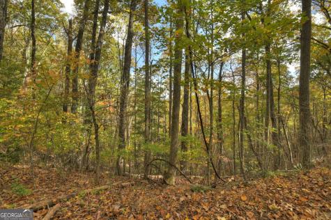 23 Acres Weaver Creek Road Blue Ridge GA 30513