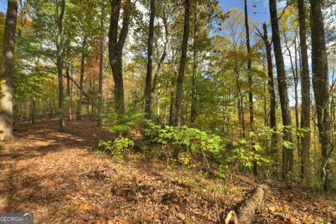 23 Acres Weaver Creek Road Blue Ridge GA 30513