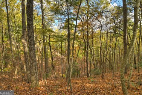 23 Acres Weaver Creek Road Blue Ridge GA 30513