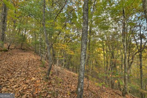 23 Acres Weaver Creek Road Blue Ridge GA 30513