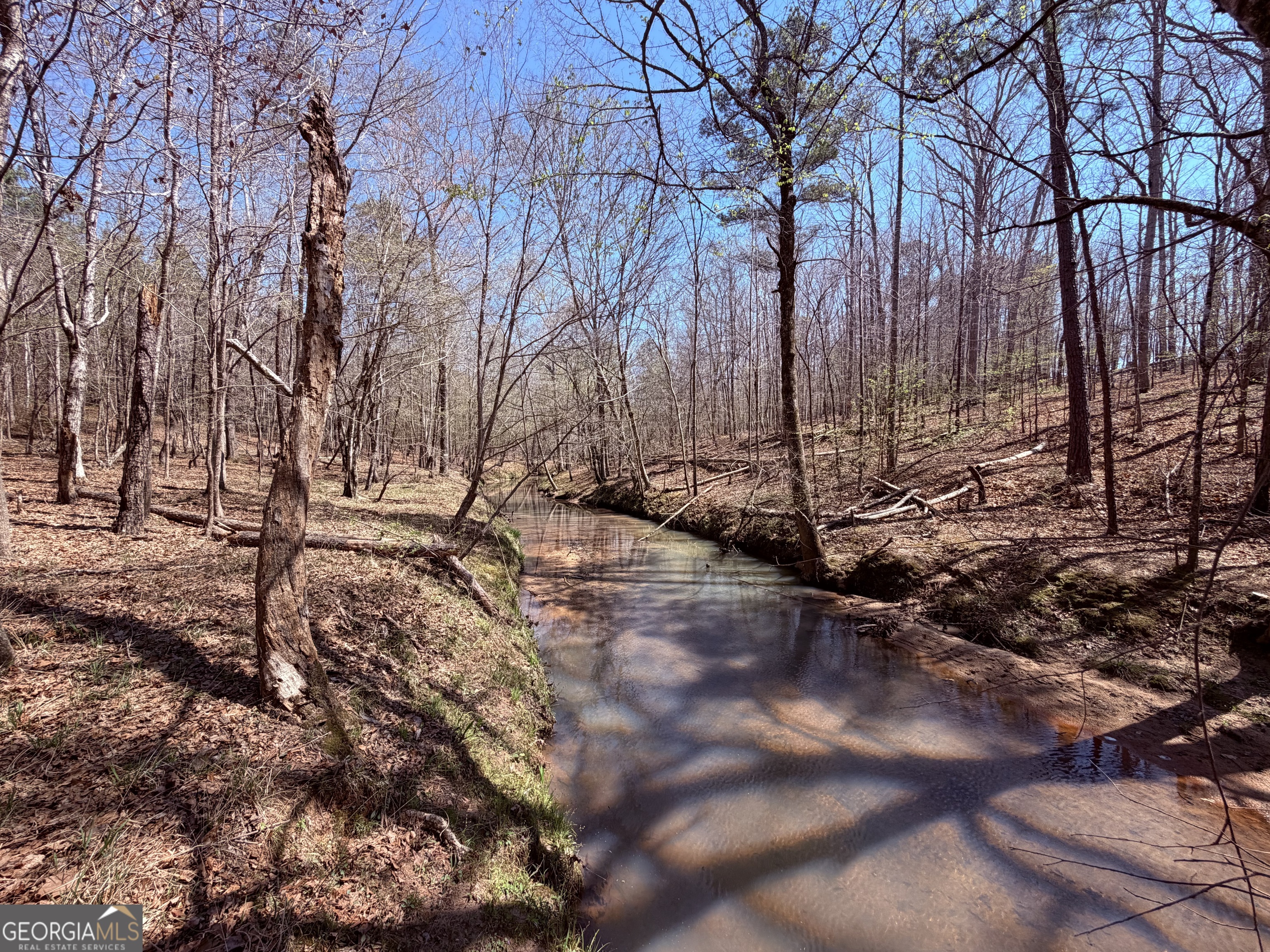 0 Carr Station Road Sparta GA 31087