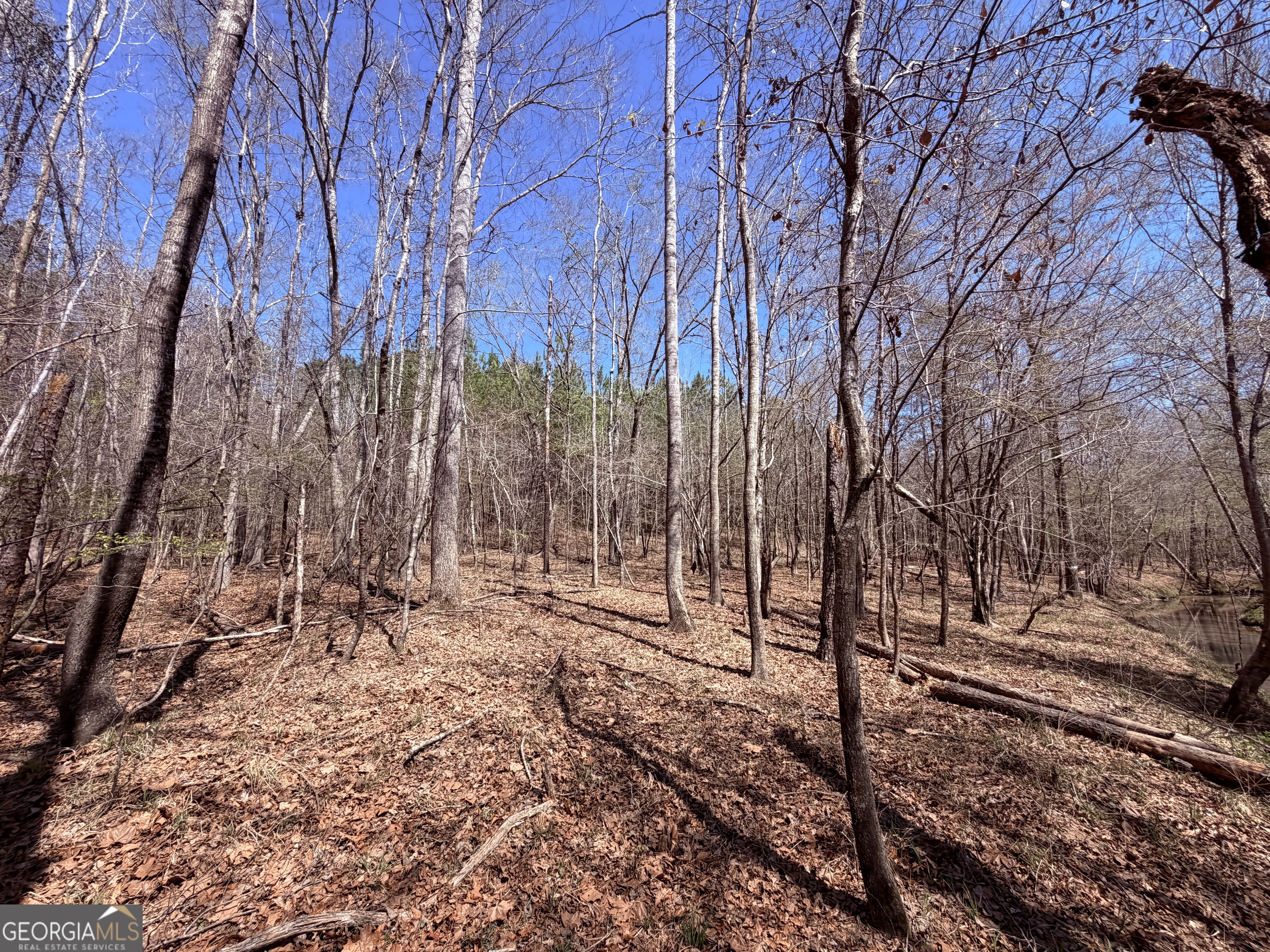 0 Carr Station Road Sparta GA 31087