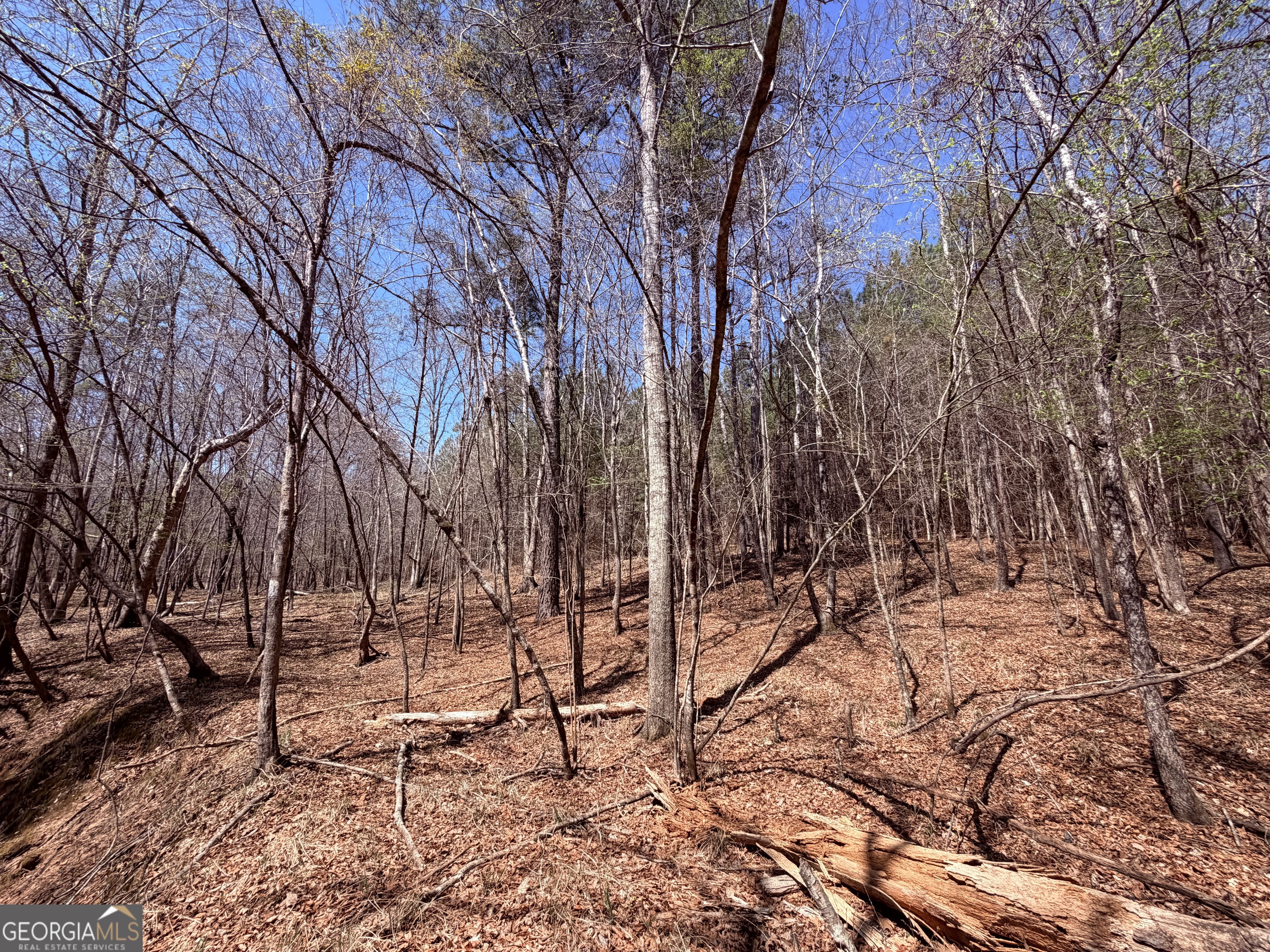 0 Carr Station Road Sparta GA 31087