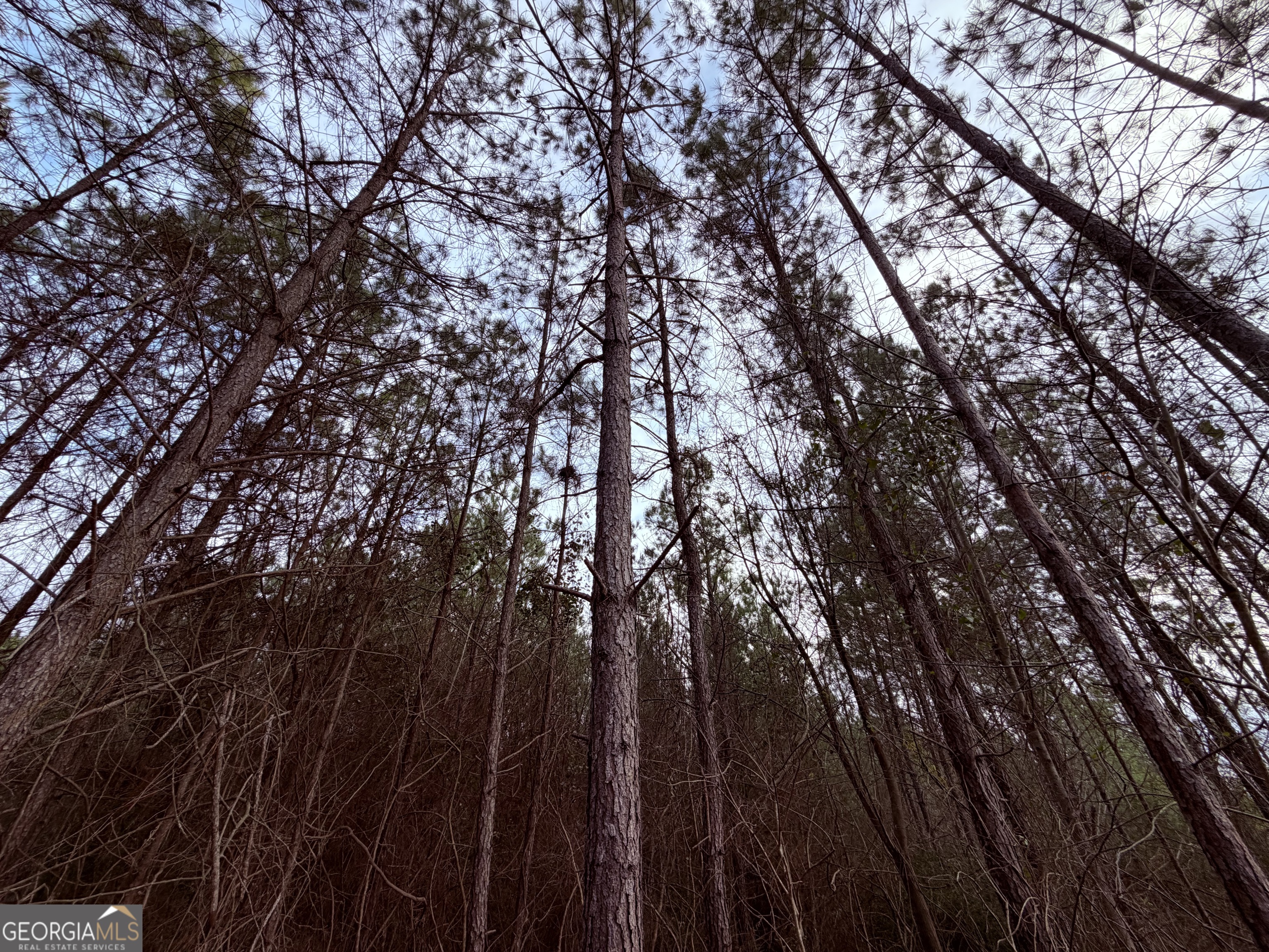 0 Carr Station Road Sparta GA 31087
