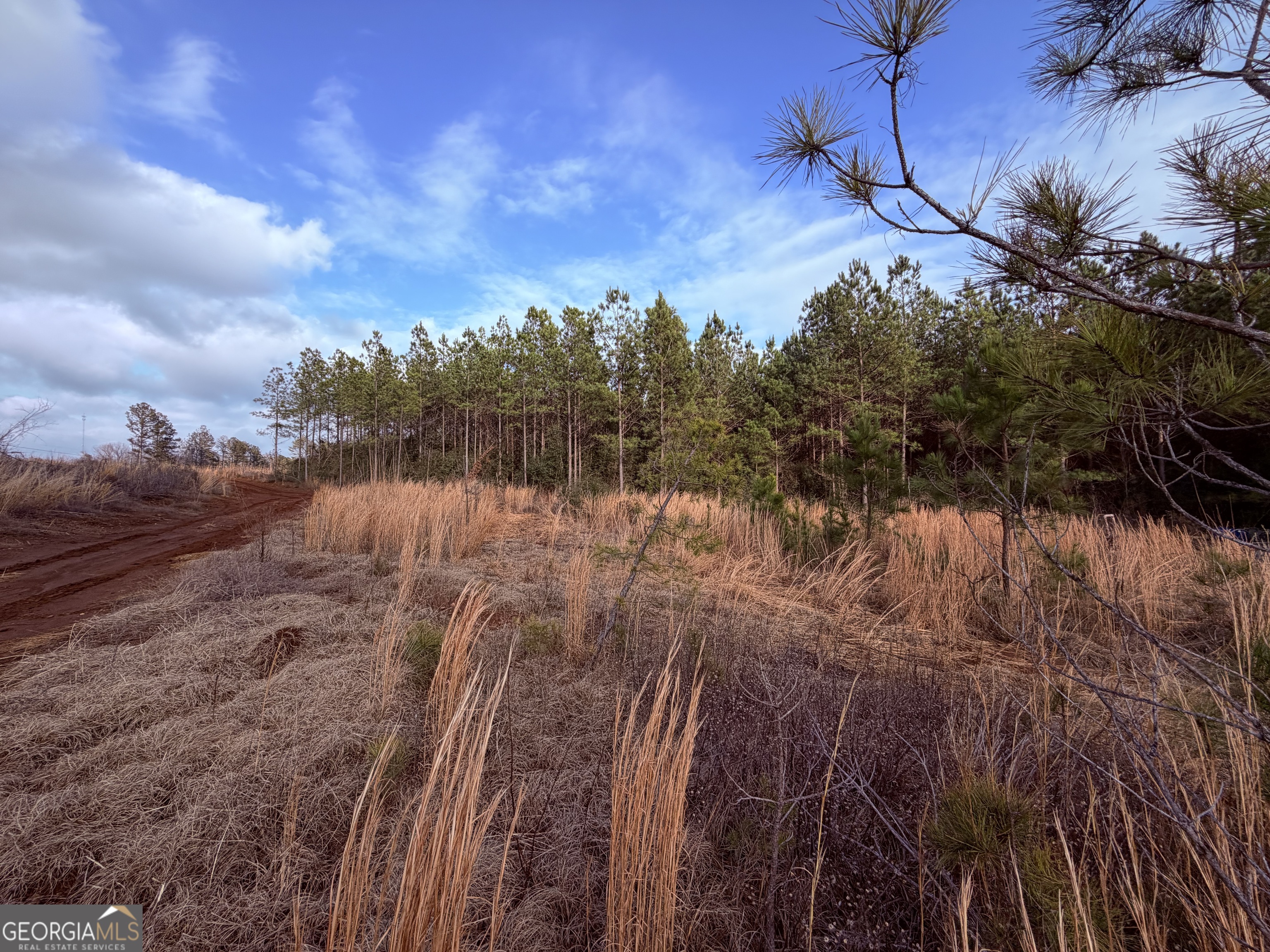 0 Carr Station Road Sparta GA 31087