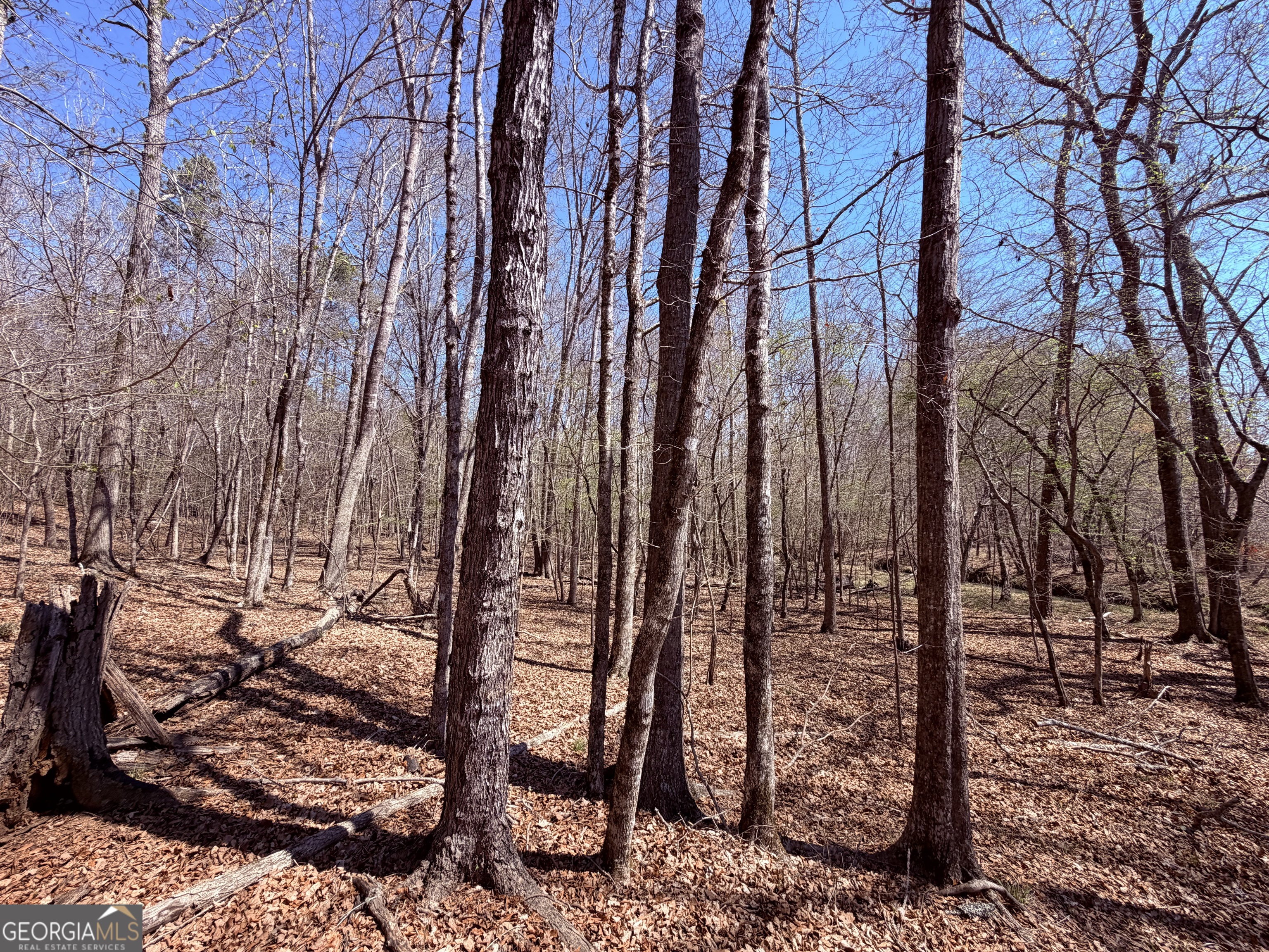 0 Carr Station Road Sparta GA 31087