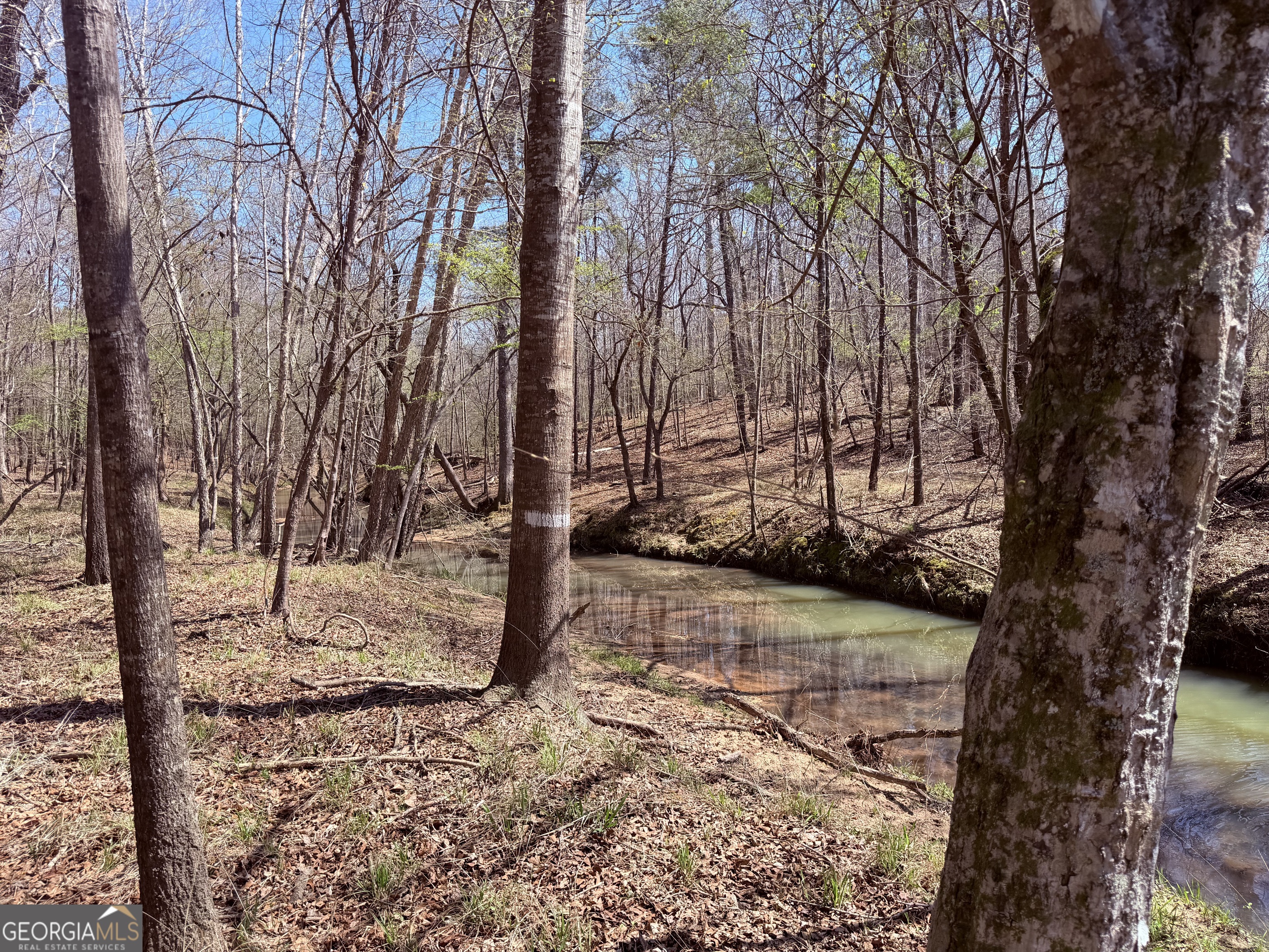 0 Carr Station Road Sparta GA 31087