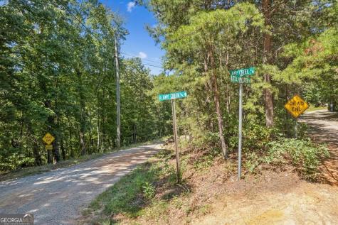 Lot 17b Amy Creek Circle Ellijay GA 30540