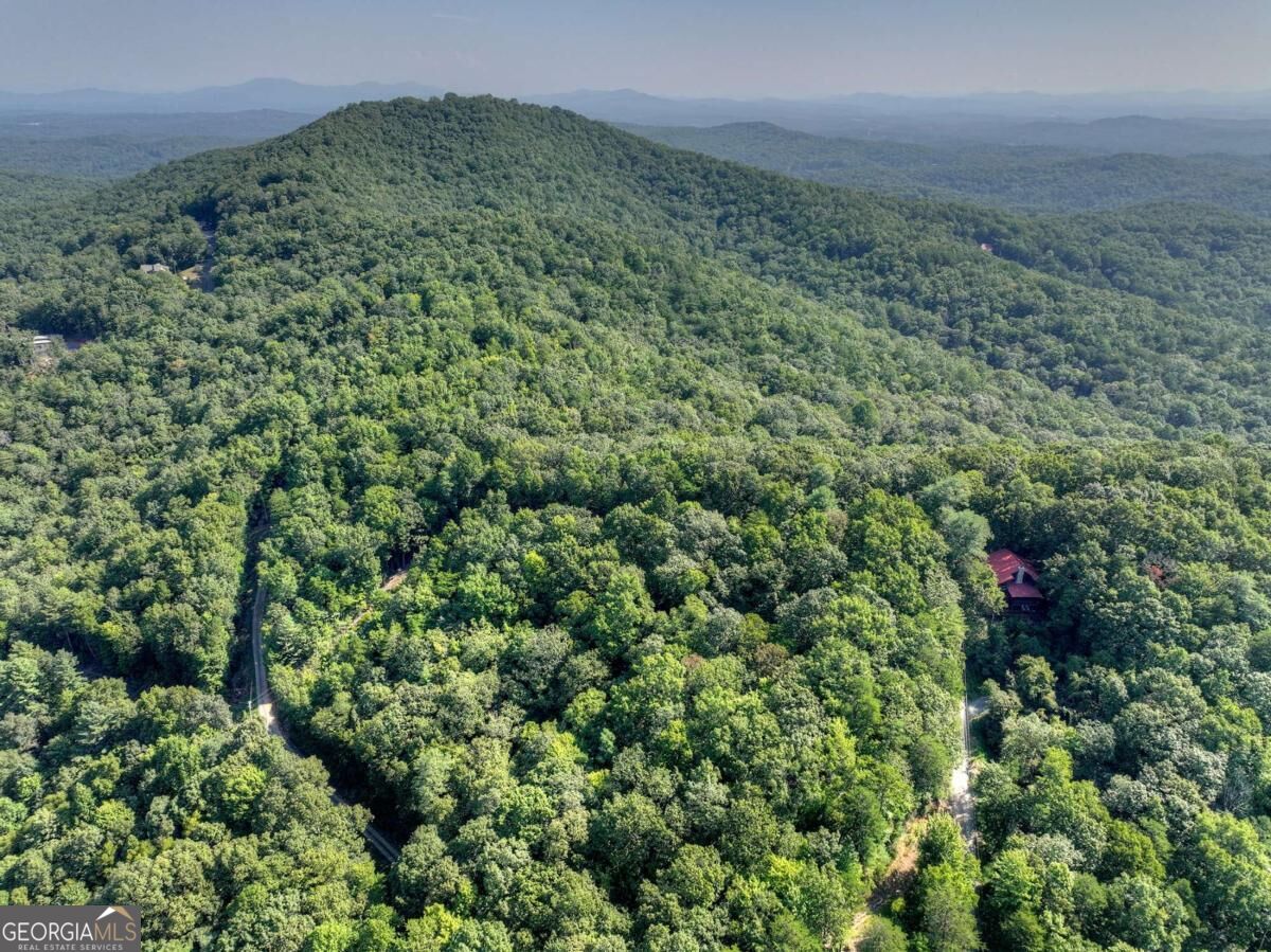 3.6 Ac Prince Mountain Road Cherry Log GA 30522