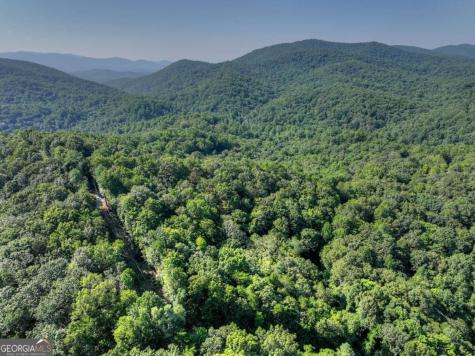 3.6 Ac Prince Mountain Road Cherry Log GA 30522