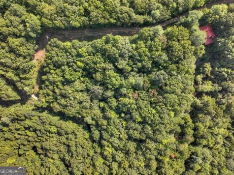 3.6 Ac Prince Mountain Road Cherry Log GA 30522