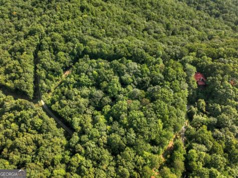 3.6 Ac Prince Mountain Road Cherry Log GA 30522