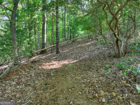 3.6 Ac Prince Mountain Road Cherry Log GA 30522