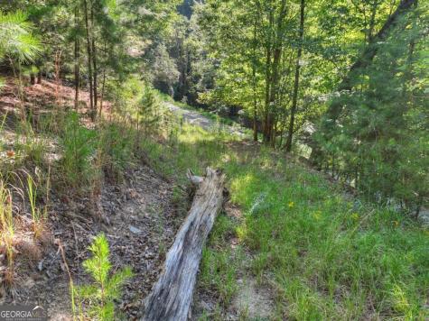 3.6 Ac Prince Mountain Road Cherry Log GA 30522