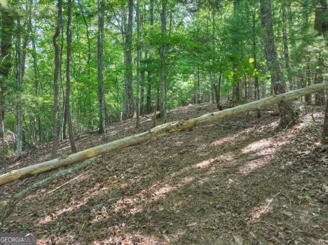 3.6 Ac Prince Mountain Road Cherry Log GA 30522
