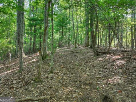 3.6 Ac Prince Mountain Road Cherry Log GA 30522