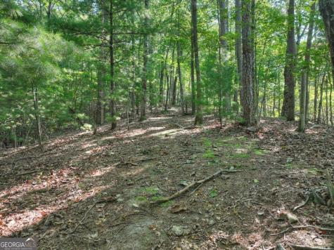 3.6 Ac Prince Mountain Road Cherry Log GA 30522