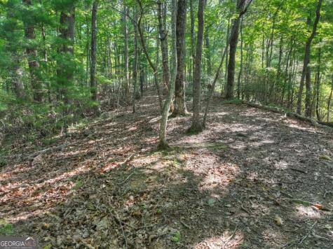 3.6 Ac Prince Mountain Road Cherry Log GA 30522