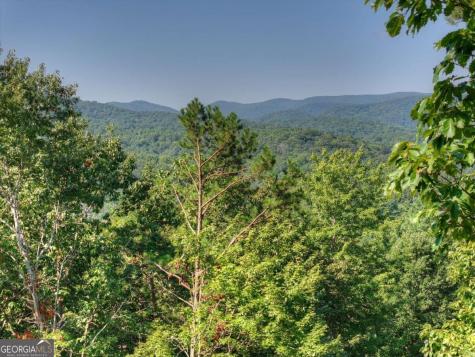 3.6 Ac Prince Mountain Road Cherry Log GA 30522