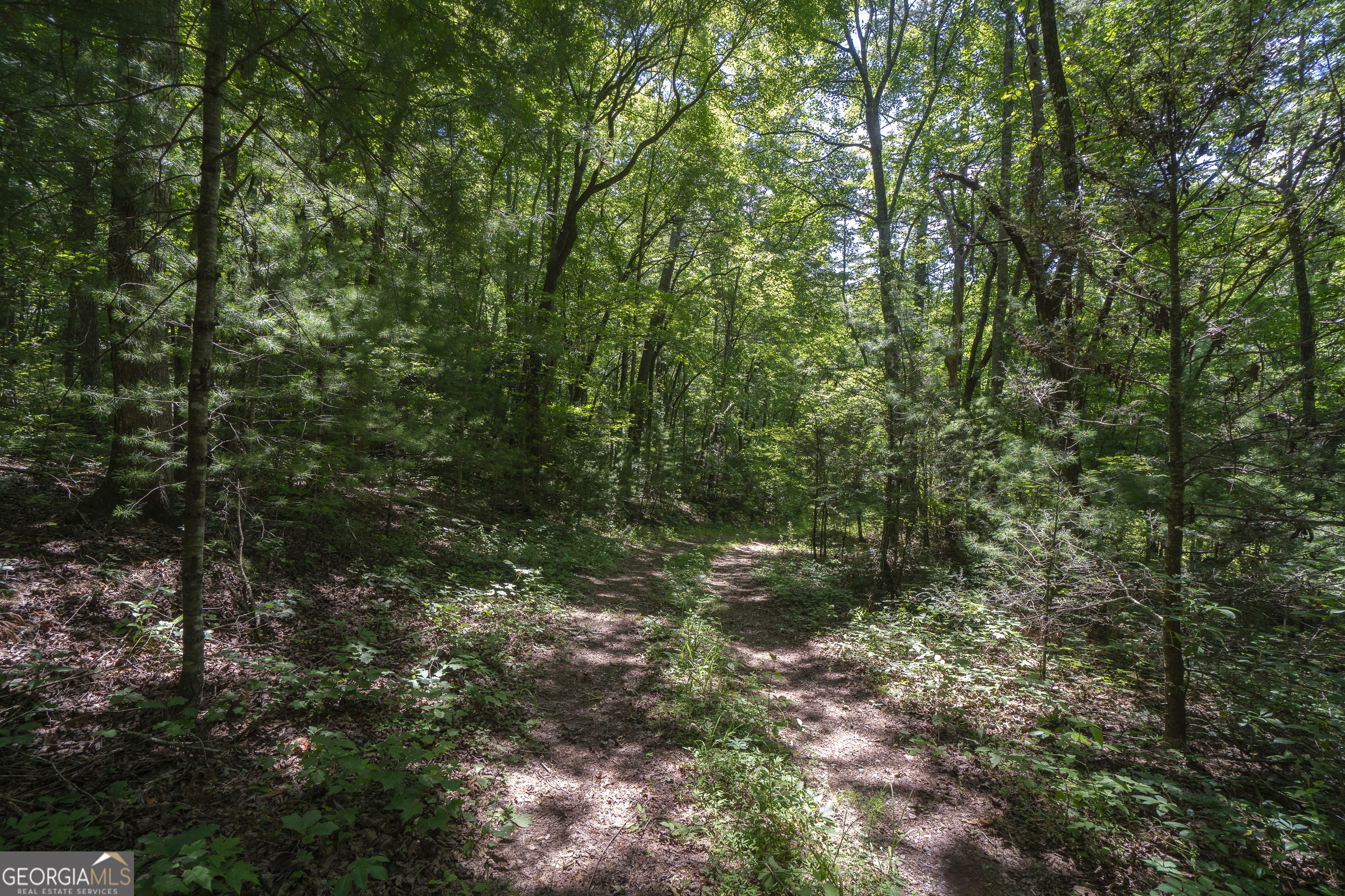 0 Hurricane Ridge Road Sautee Nacoochee GA 30571