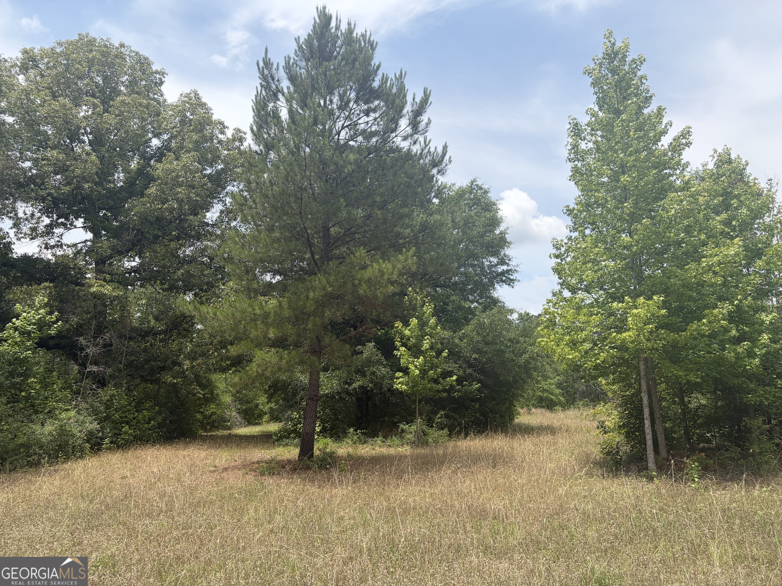 8 Sunhill Grange Road Davisboro GA 31018