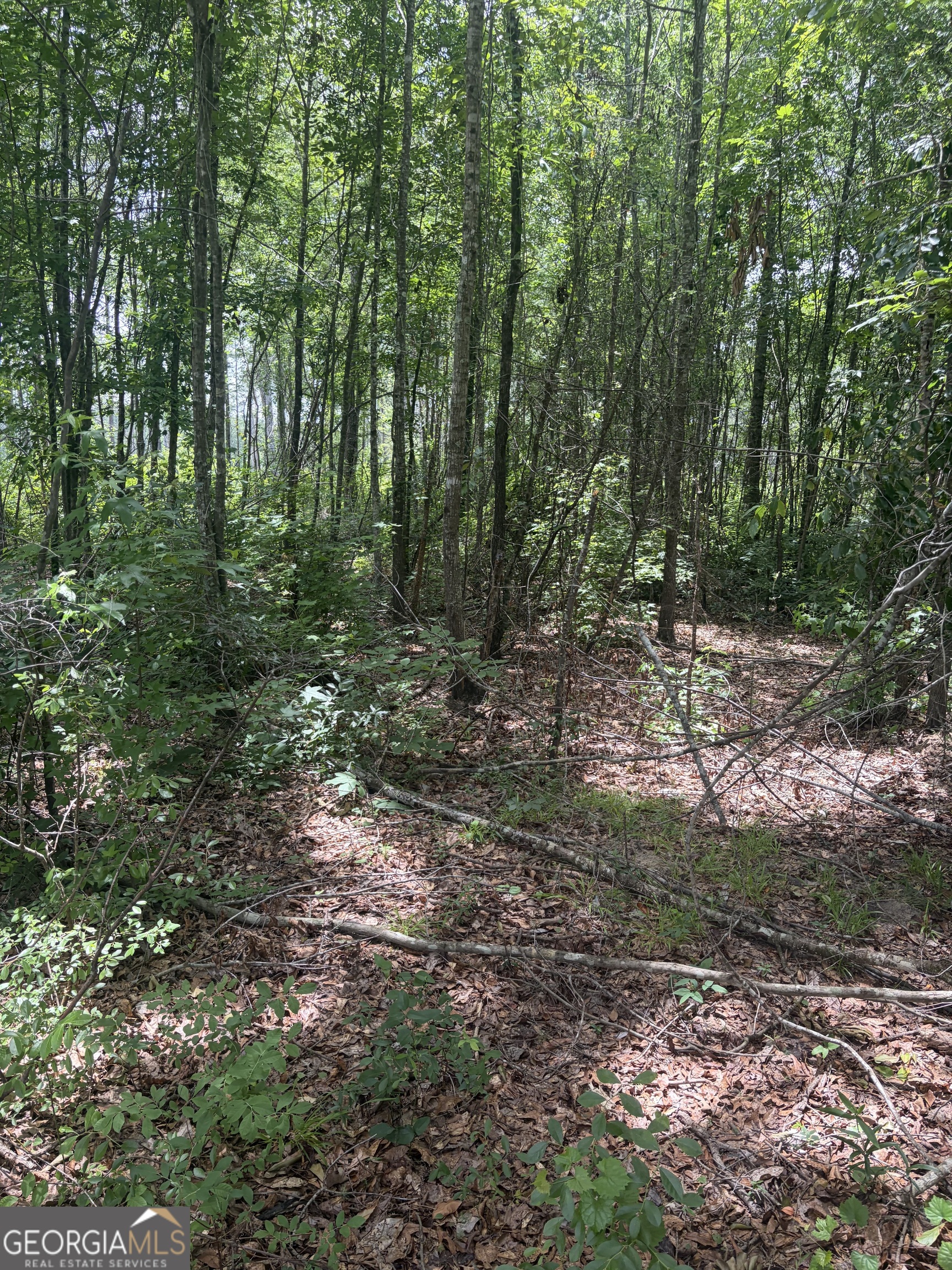 8 Sunhill Grange Road Davisboro GA 31018