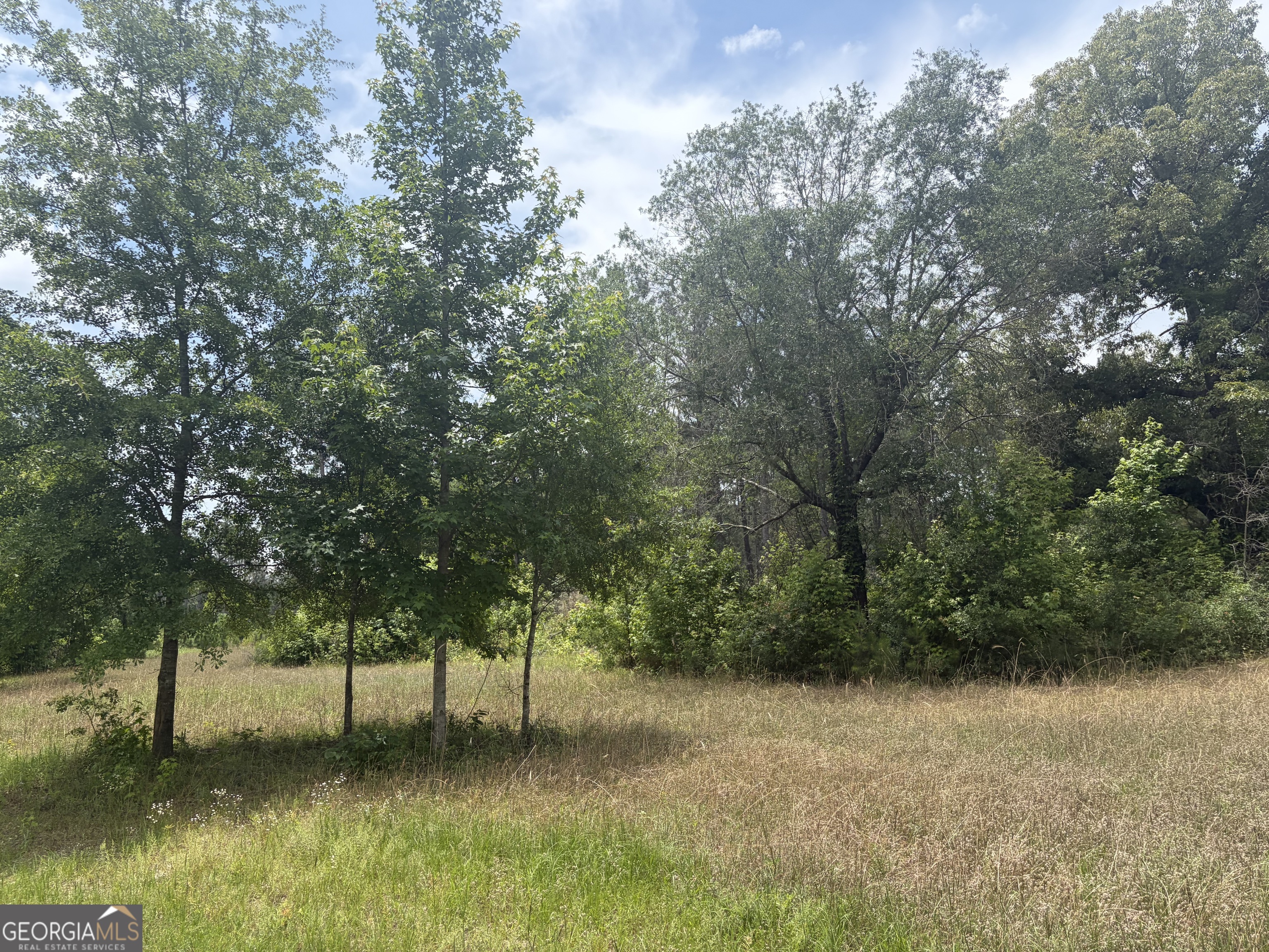 8 Sunhill Grange Road Davisboro GA 31018