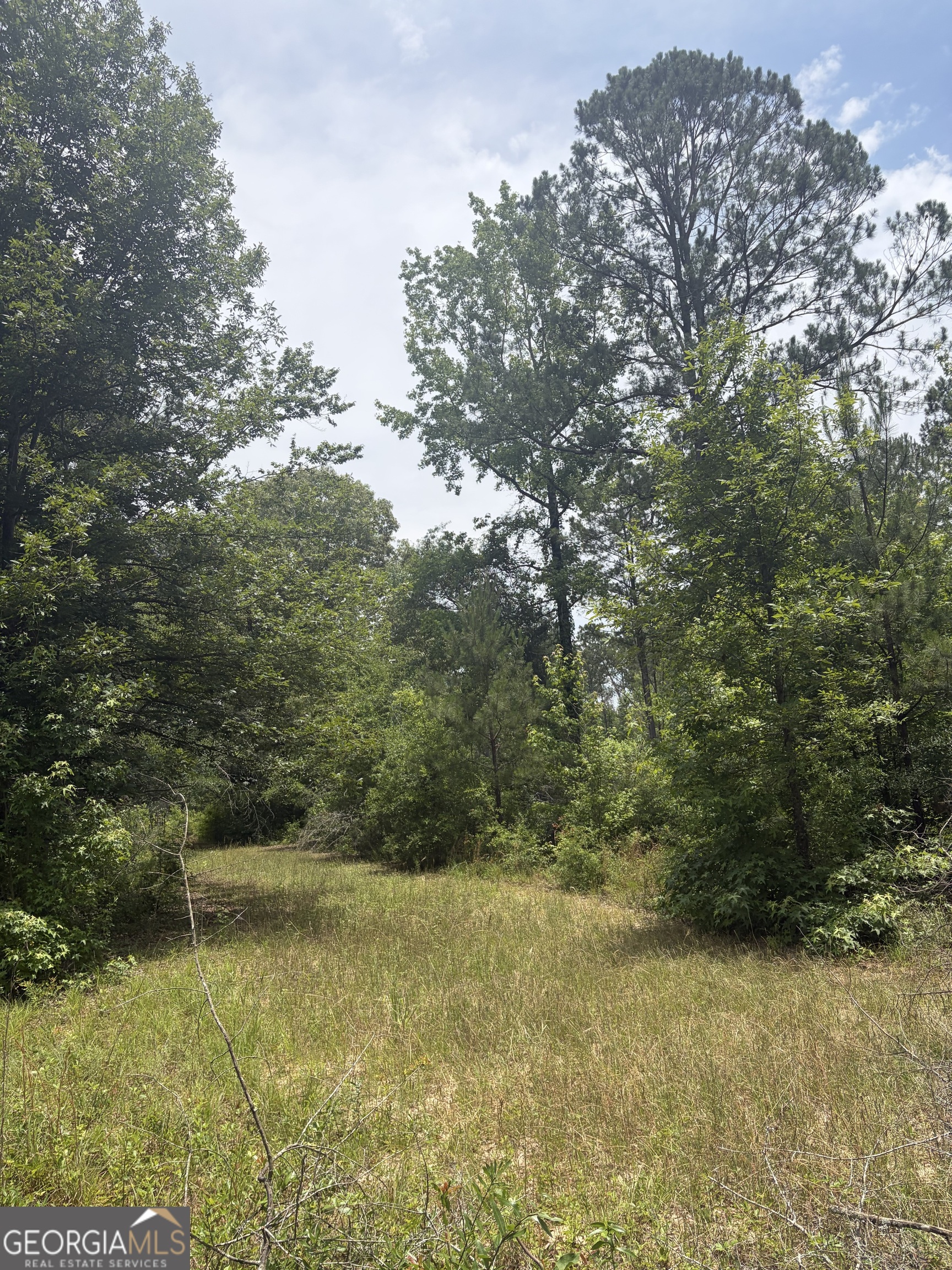 8 Sunhill Grange Road Davisboro GA 31018