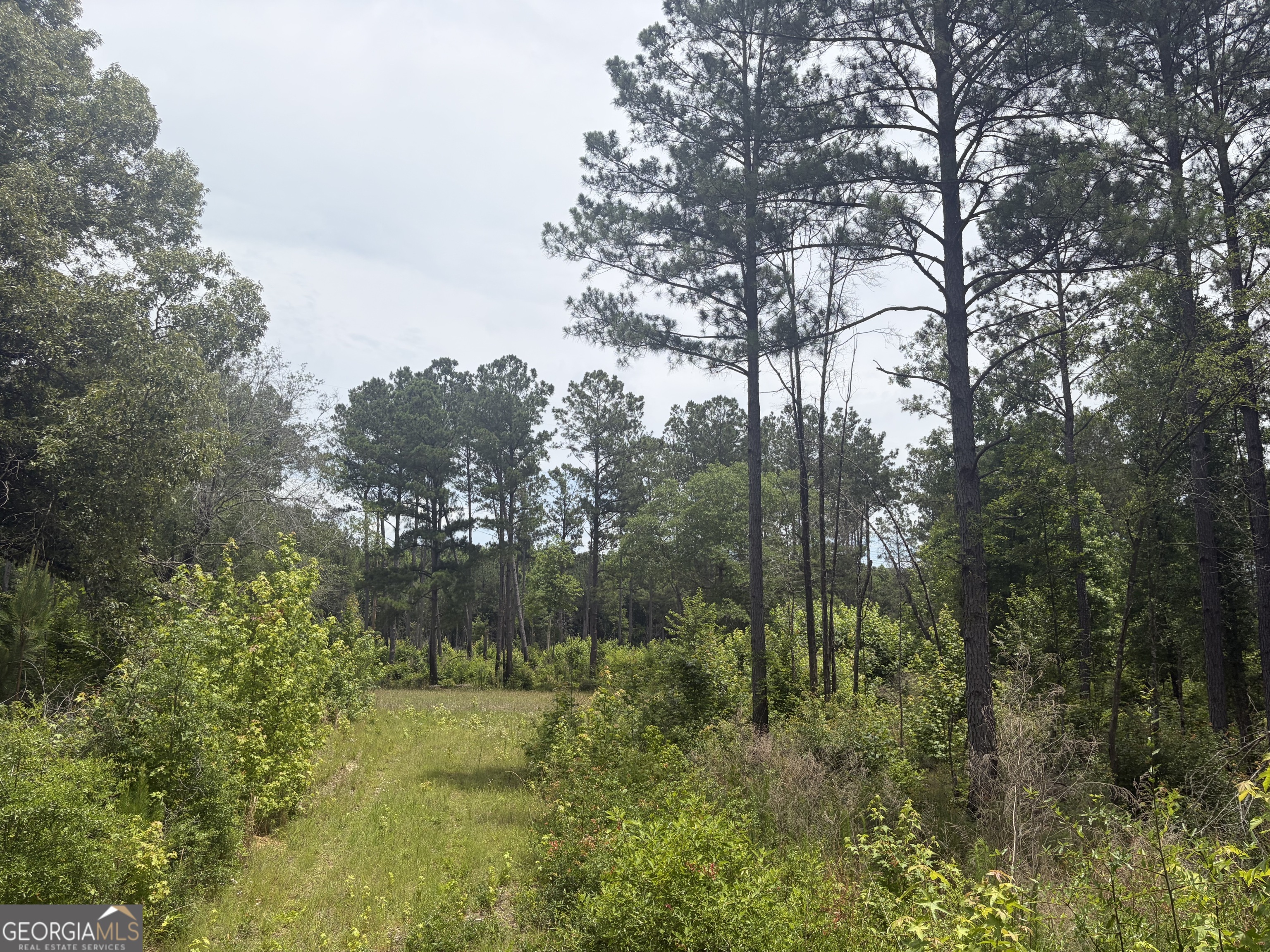 8 Sunhill Grange Road Davisboro GA 31018
