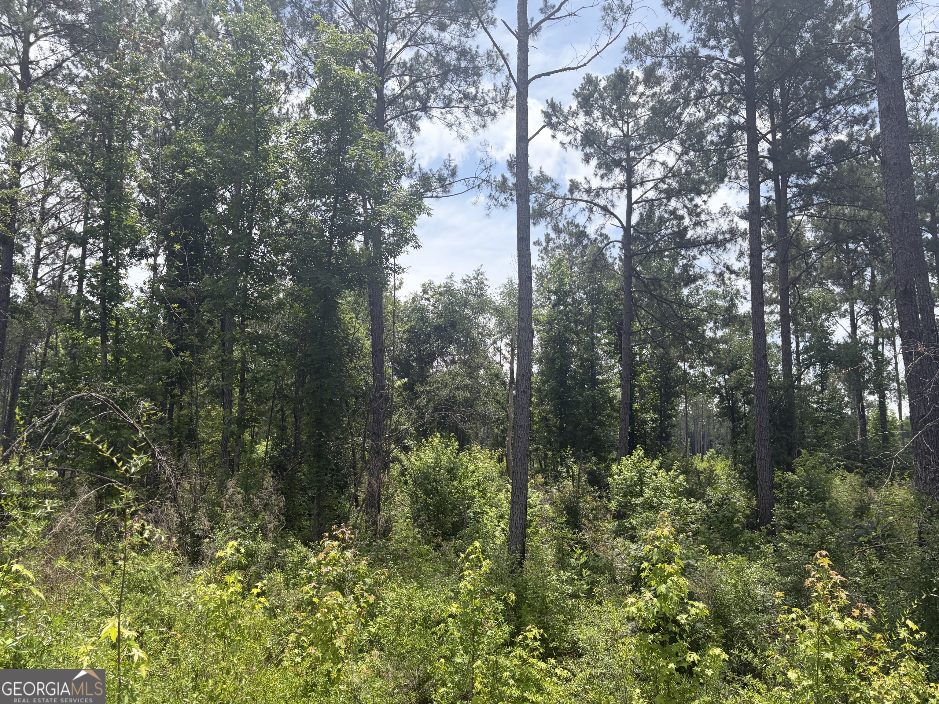 8 Sunhill Grange Road Davisboro GA 31018