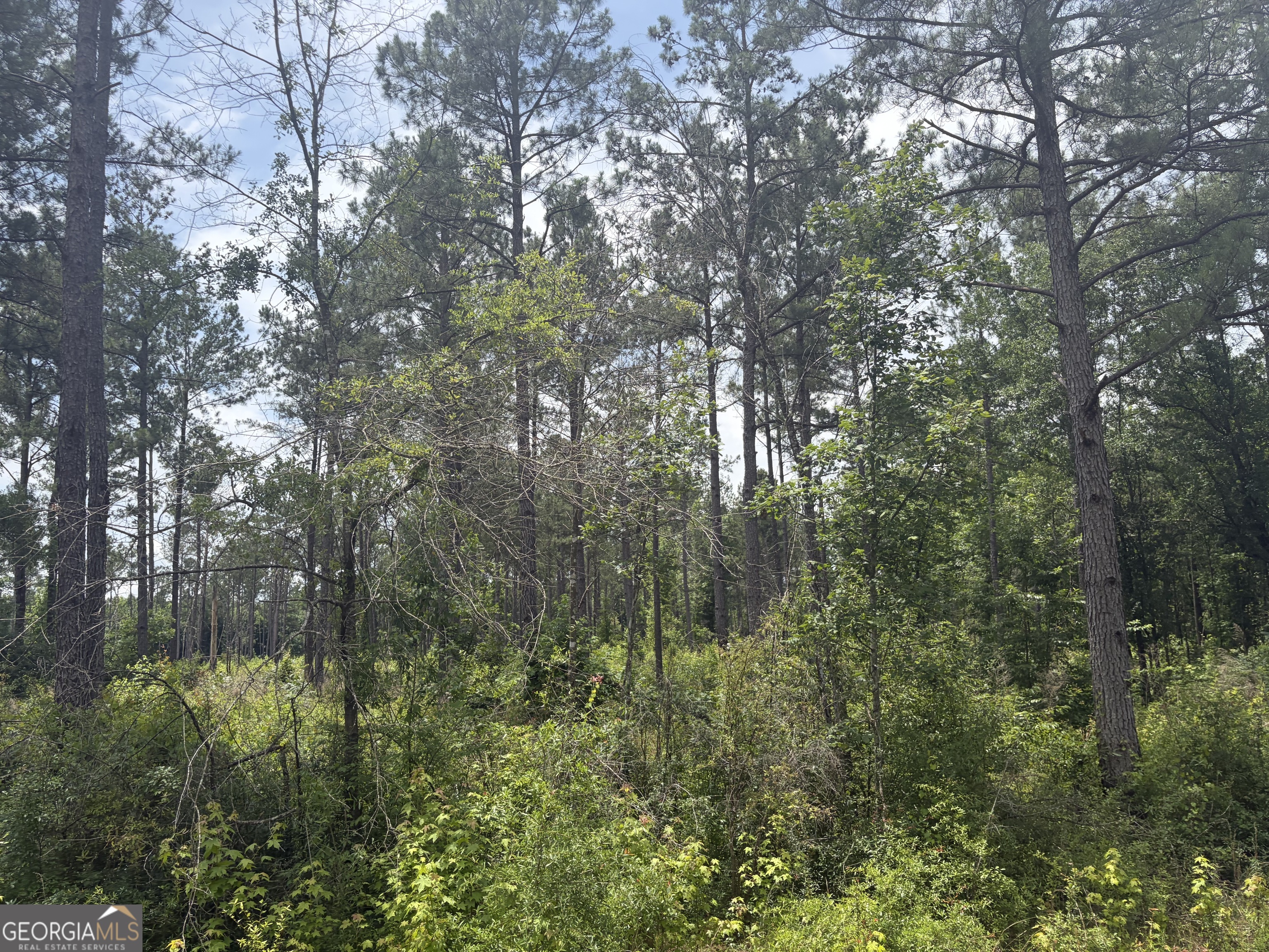 8 Sunhill Grange Road Davisboro GA 31018